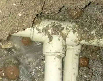 立山测漏水多少钱