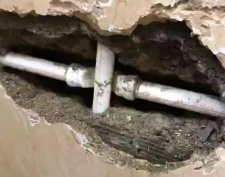 立山测漏水哪家好