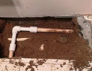 立山测漏水哪家好