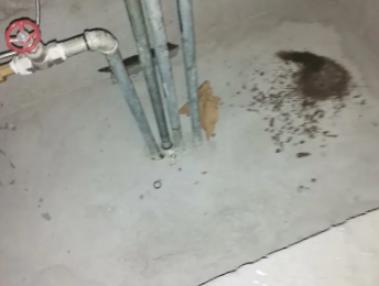 立山卫生间测漏水价格明细