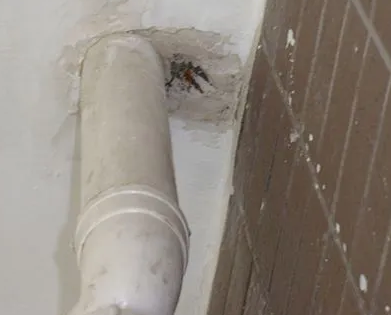 立山漏水检测哪家好