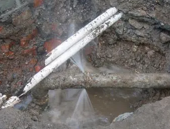 立山测漏水多少钱